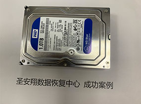 西数1T硬盘误删除格式化数据恢复